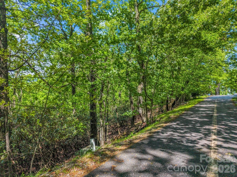 99999 Laurel Dr #27, 28, 29, Mills River, NC 28759
