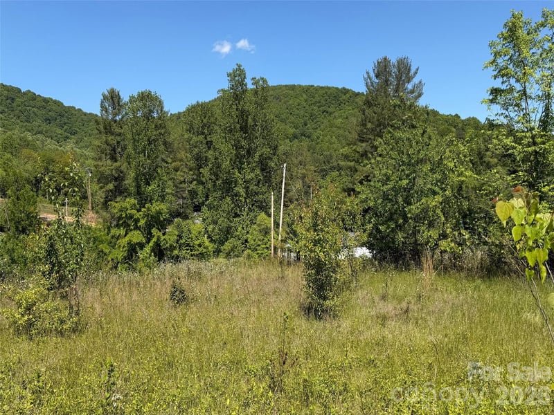 99999 Morgan Branch Rd, Candler, NC 28715