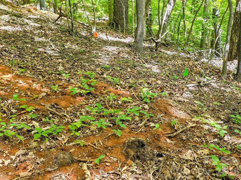 00 Hickory Springs Rd #12, Burnsville, NC 28714