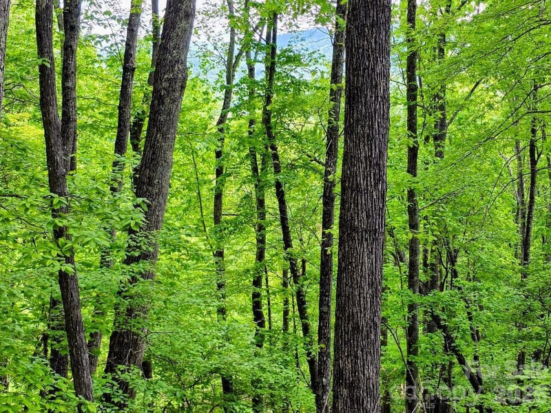 00 Hickory Springs Rd #12, Burnsville, NC 28714
