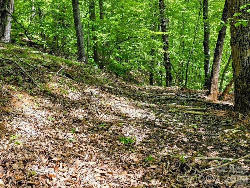 00 Hickory Springs Rd #12, Burnsville, NC 28714