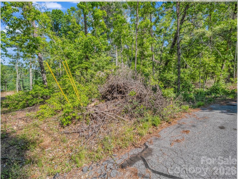 9999 Sedgewood Ct, Fairview, NC 28730
