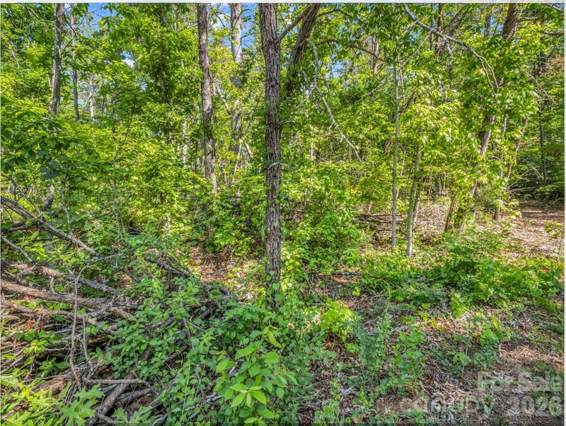 9999 Sedgewood Ct, Fairview, NC 28730