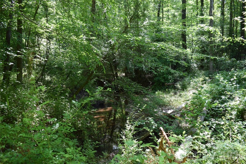Floyd Blackwell Rd, Tryon, NC 28722