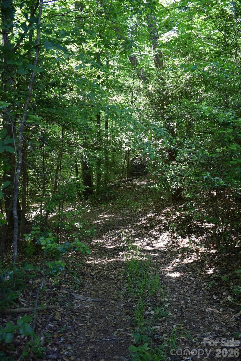 Floyd Blackwell Rd, Tryon, NC 28722