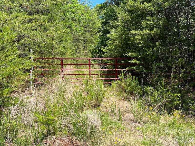 Luckadoo Mountain Rd #177, Bostic, NC 28018
