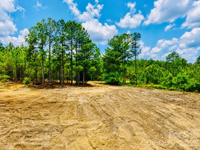 231 Jc Barefoot Rd, Patrick, SC 29584