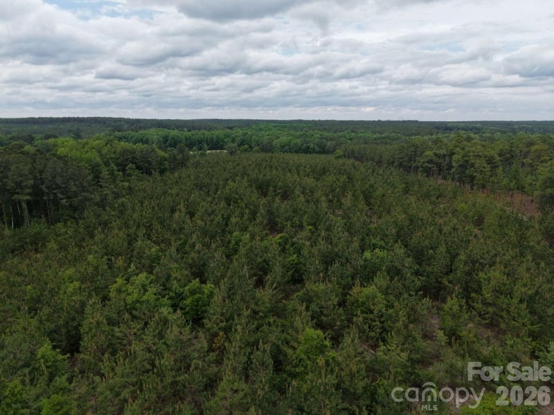 231 Jc Barefoot Rd, Patrick, SC 29584