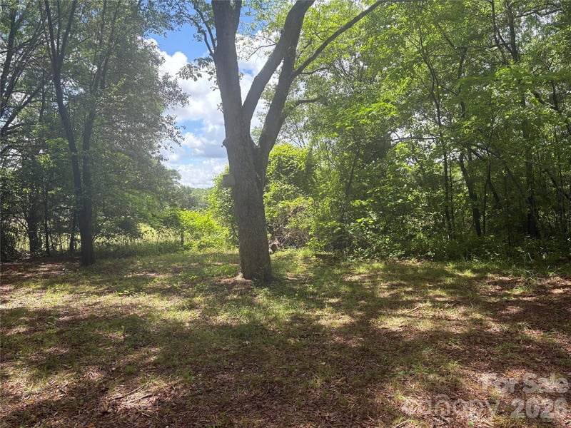 3880 Love Rd, Claremont, NC 28610