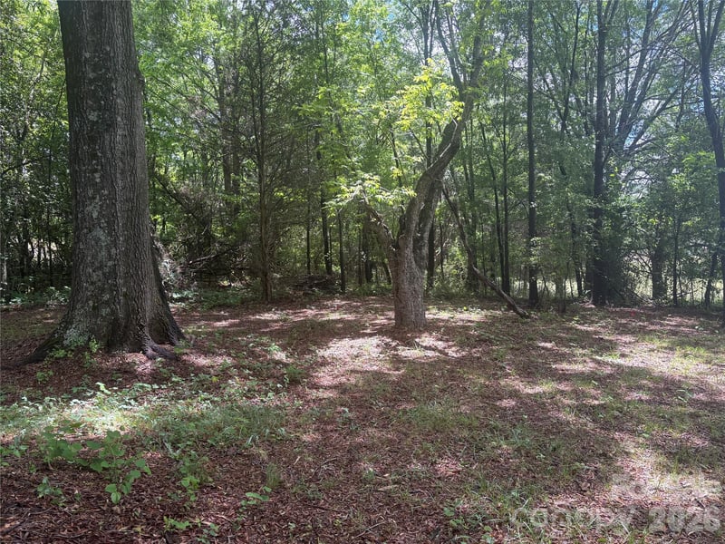 3880 Love Rd, Claremont, NC 28610