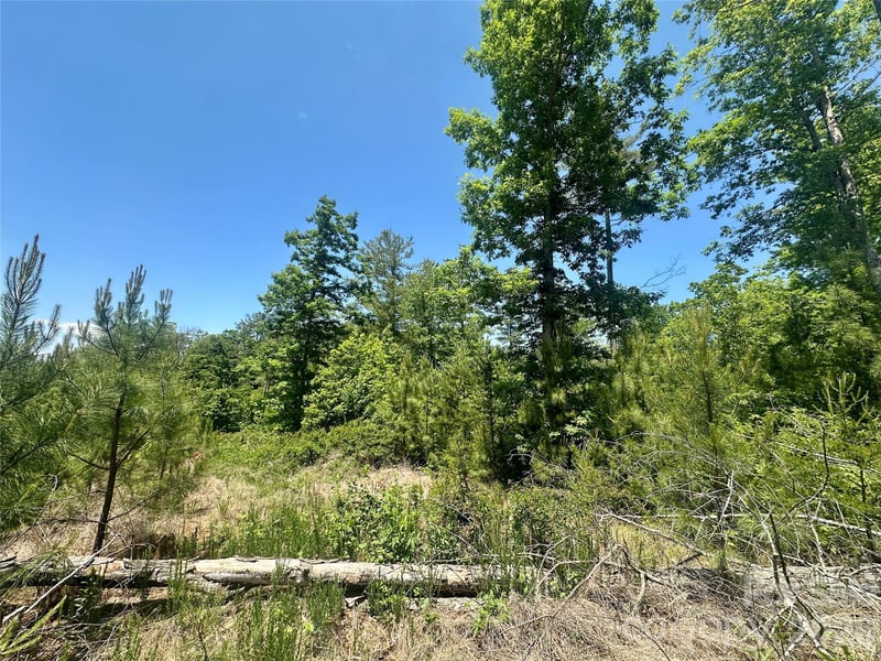 Westward Dr, Granite Falls, NC 28630