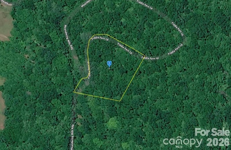6 Fiddle Fern Loop, Sylva, NC 28779