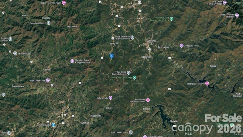 6 Fiddle Fern Loop, Sylva, NC 28779