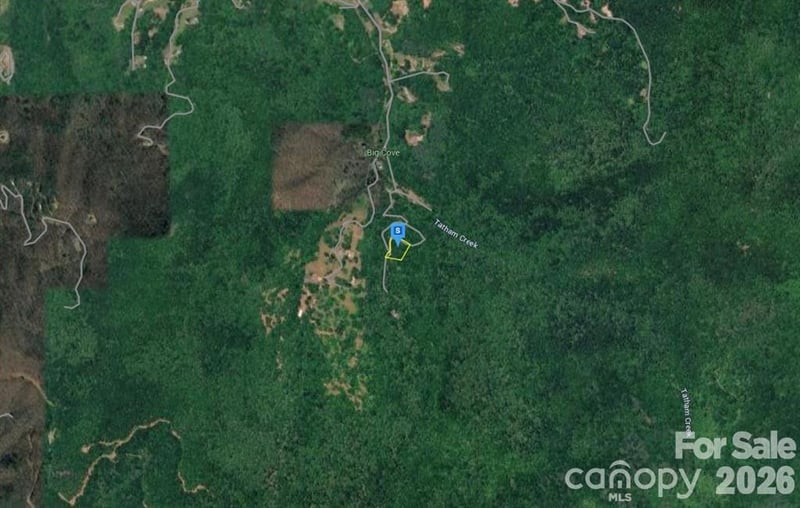 6 Fiddle Fern Loop, Sylva, NC 28779