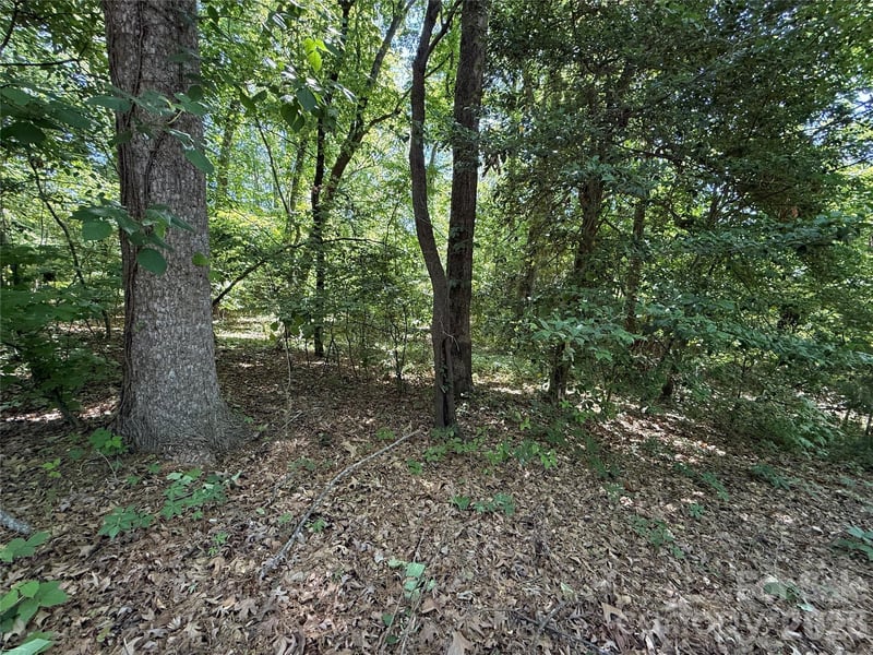 4446 Marion Dr, Terrell, NC 28682