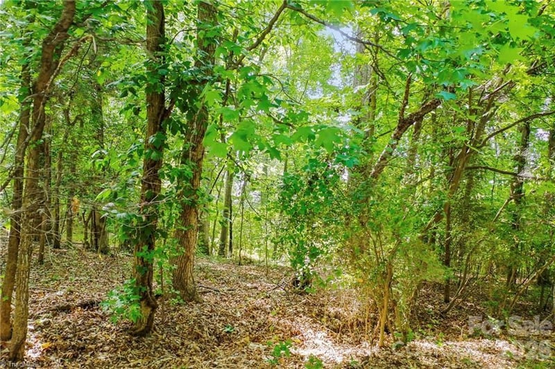 4446 Marion Dr, Terrell, NC 28682