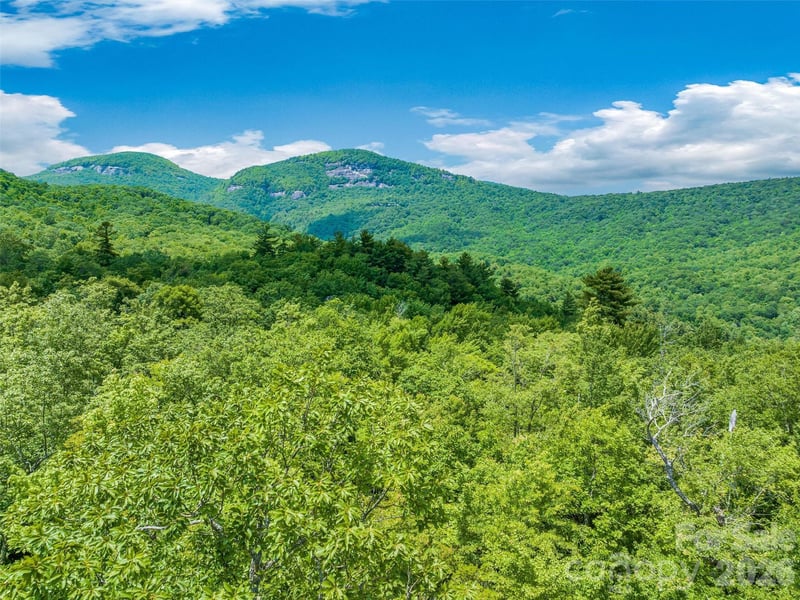 2 Cardinal Dr #TRP 2, Lake Toxaway, NC 28747