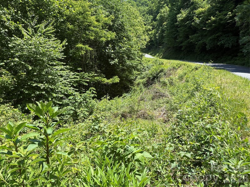 Timber Estates Rd #11, Bryson City, NC 28713