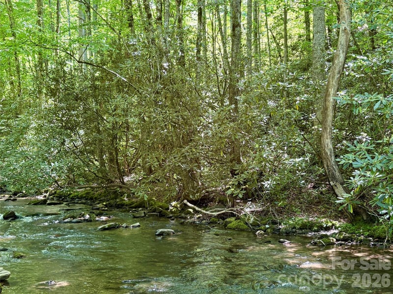 Timber Estates Rd #11, Bryson City, NC 28713
