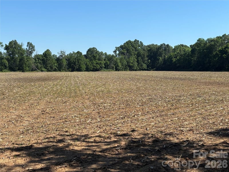 00 White Store Rd, Peachland, NC 28133