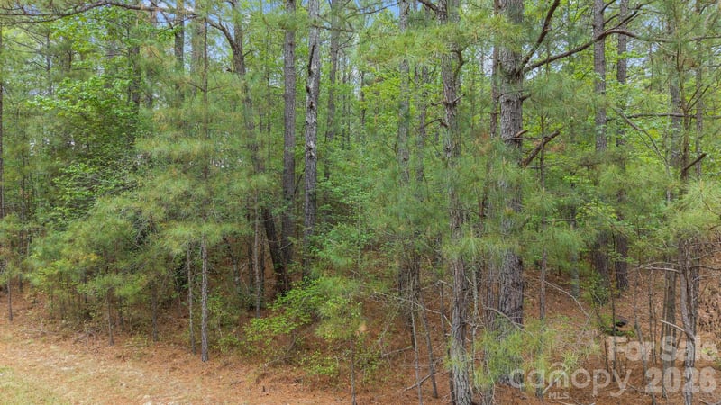 Vacant Davis Haywood Rd, Mount Gilead, NC 27306