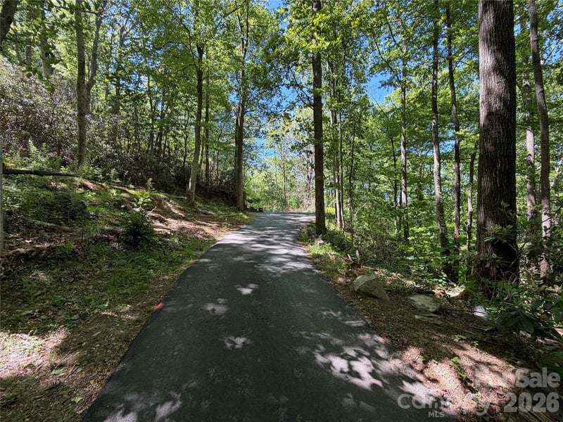 25 Buck Ridge Rd, Fairview, NC 28730