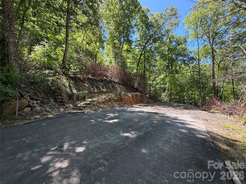 25 Buck Ridge Rd, Fairview, NC 28730