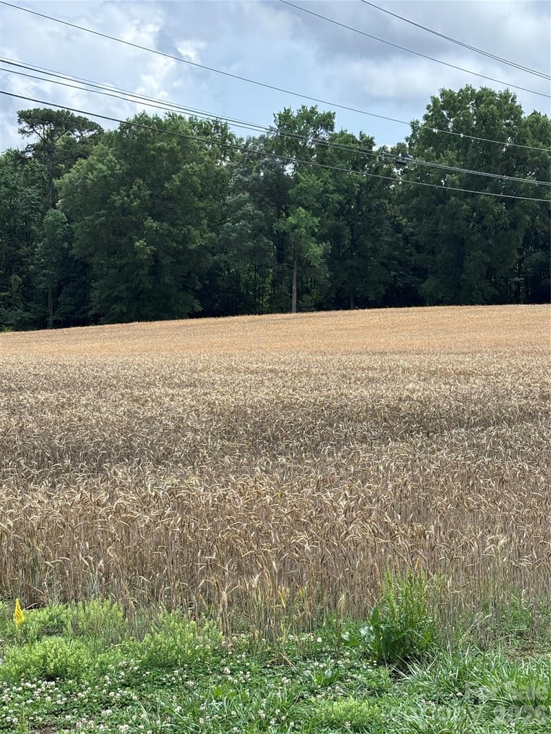 Olive Branch Rd, Wingate, NC 28174