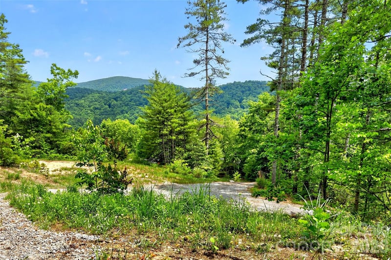 259 East Lester Ln, Hendersonville, NC 28739