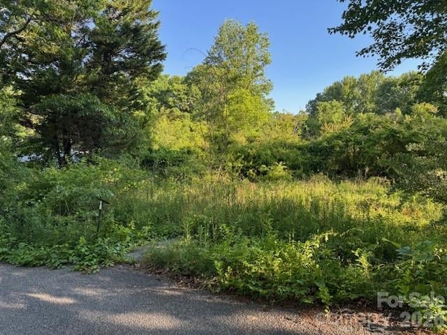 202 Dundee St, Hendersonville, NC 28791