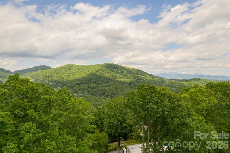 30 Gertrude Ln, Candler, NC 28715