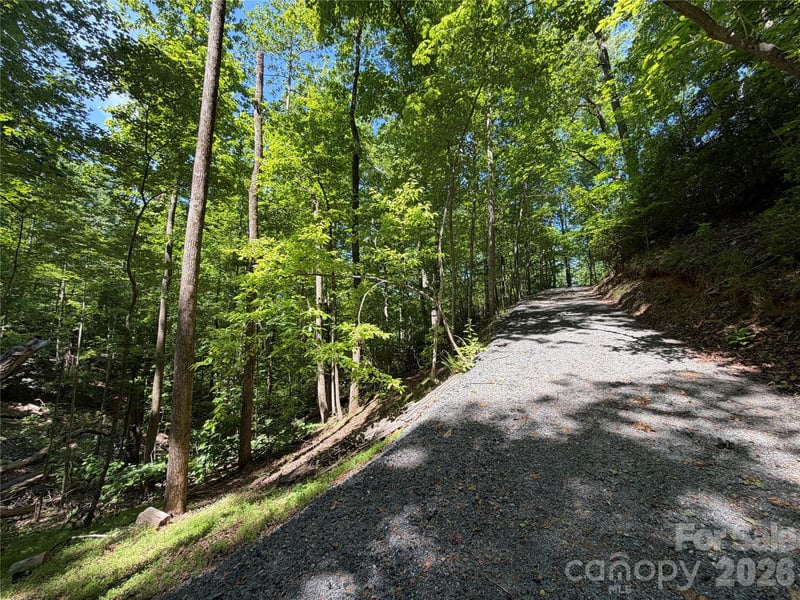 Buffalo Shoals Rd #1, Lake Lure, NC 28746