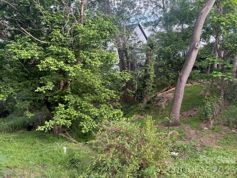 111 Waynesville Ave, Asheville, NC 28806