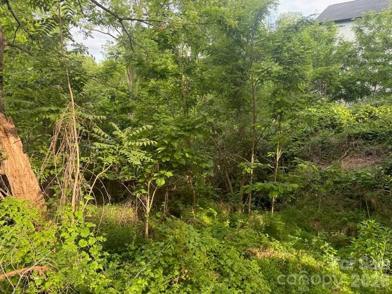 111 Waynesville Ave, Asheville, NC 28806