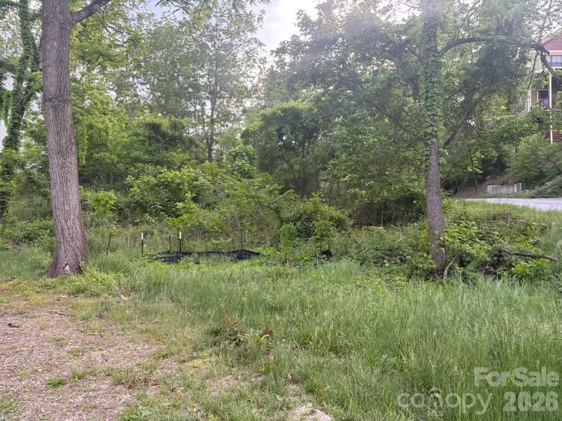 111 Waynesville Ave, Asheville, NC 28806