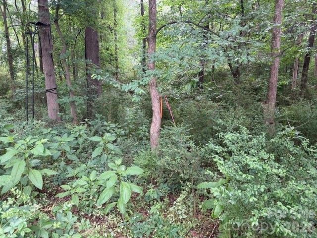 8838 Morgan Mill Rd, Monroe, NC 28110