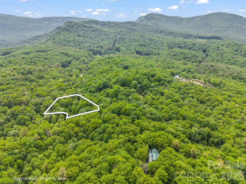 TBD Toxaway Trl #14/3, Lake Toxaway, NC 28747