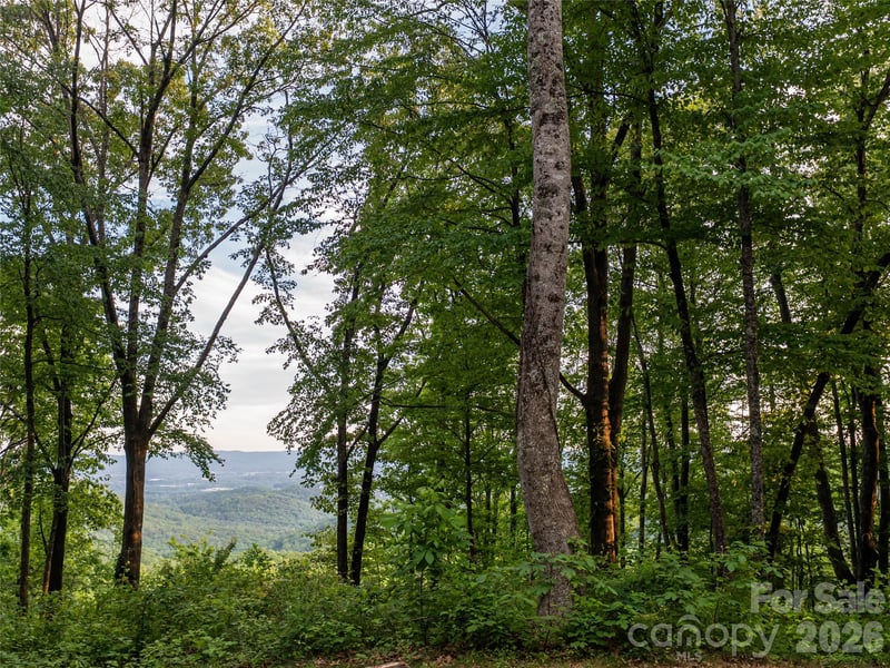 000 New Sprout Ln #2, Hendersonville, NC 28792