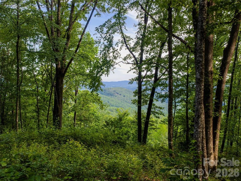 000 New Sprout Ln #2, Hendersonville, NC 28792