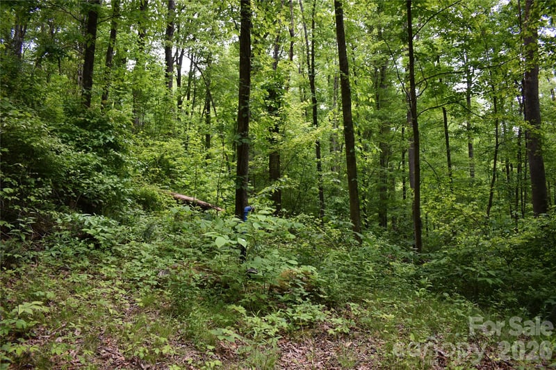 Lot 18 Covered Bridge Trl, Waynesville, NC 28785