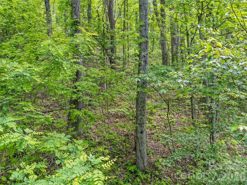 0000 Presidential Dr #58/PH 2-A, Waynesville, NC 28786
