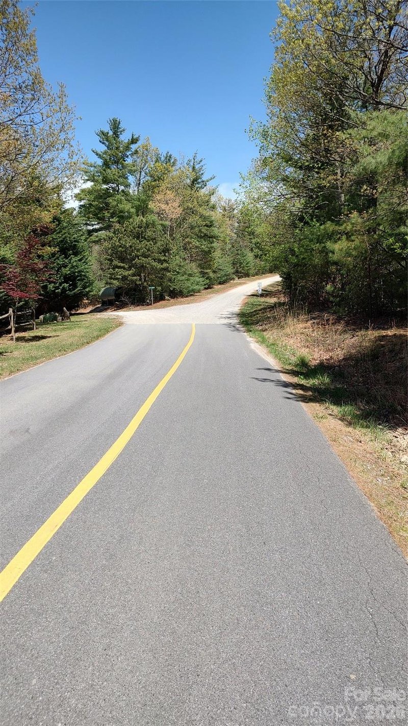 Staghorn Rd, Purlear, NC 28665