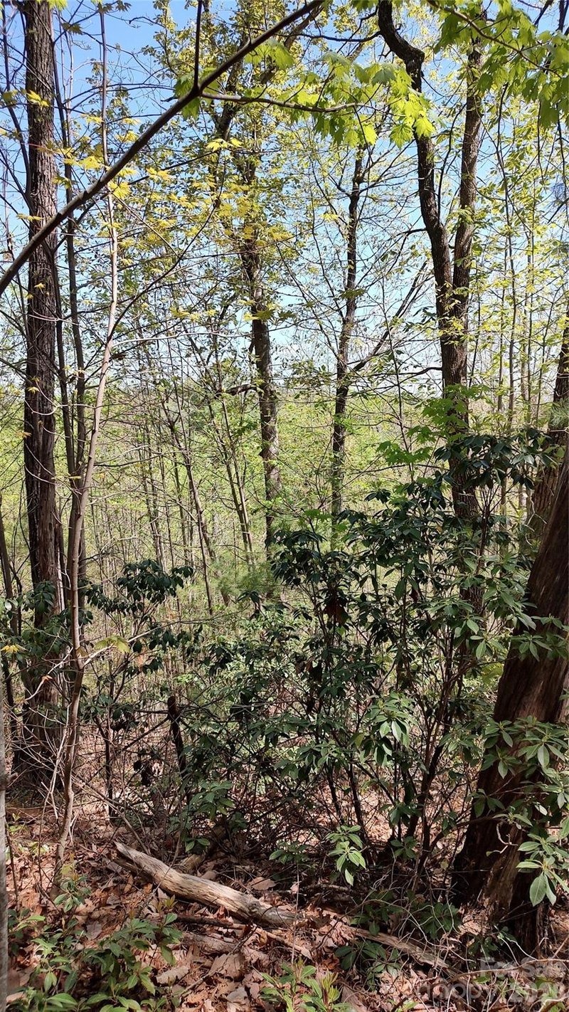 Staghorn Rd, Purlear, NC 28665