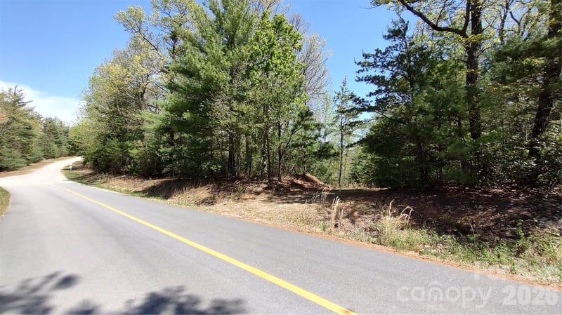 Staghorn Rd, Purlear, NC 28665