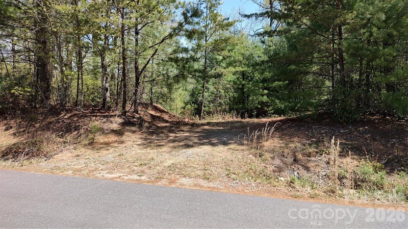 Staghorn Rd, Purlear, NC 28665