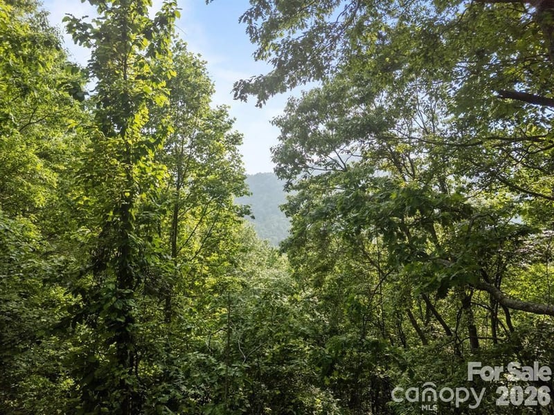 00 Granny Shepherd Rd, Mars Hill, NC 28754
