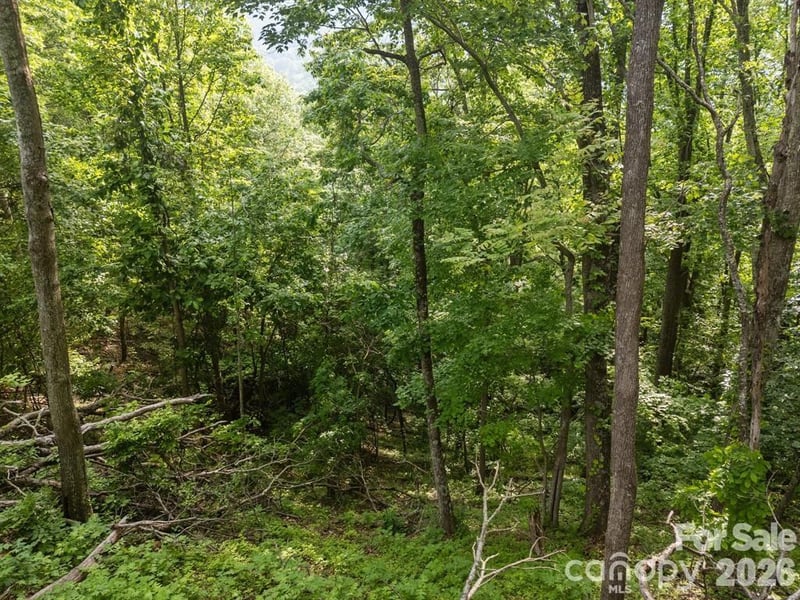 00 Granny Shepherd Rd, Mars Hill, NC 28754