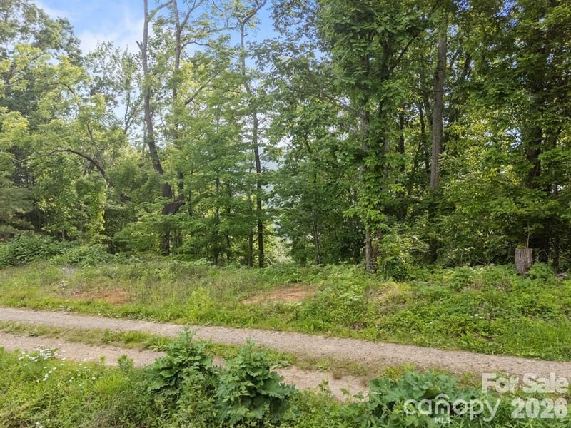00 Granny Shepherd Rd, Mars Hill, NC 28754