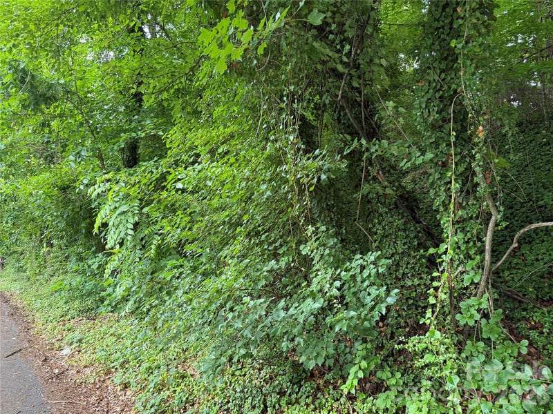 91 Iris St, Asheville, NC 28803