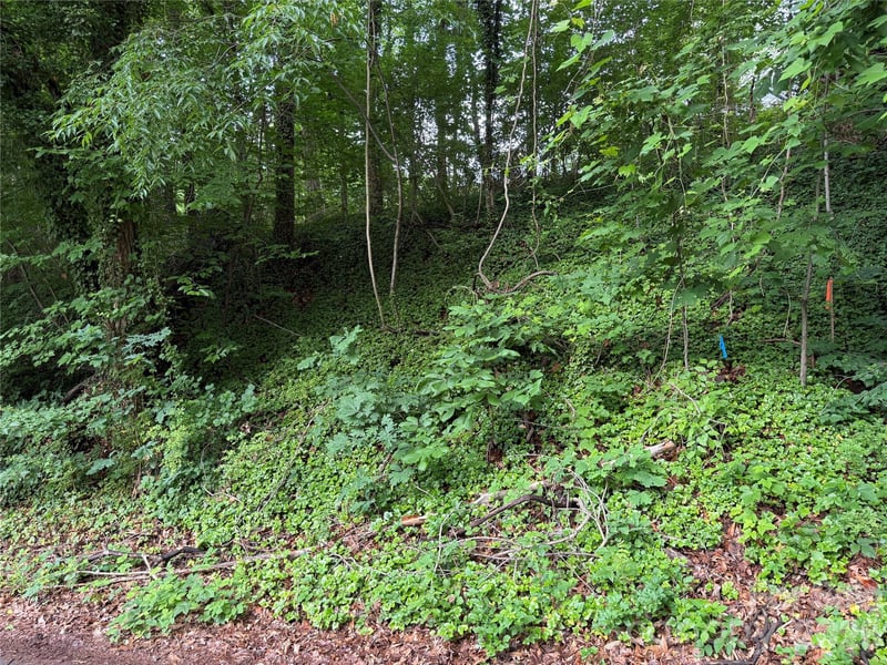 89 Iris St, Asheville, NC 28803